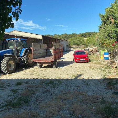 Gite A La Ferme Clansayes Dış mekan fotoğraf