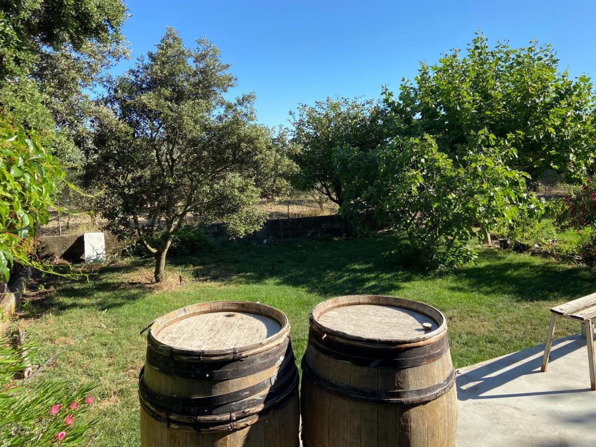 Gite A La Ferme Clansayes Dış mekan fotoğraf